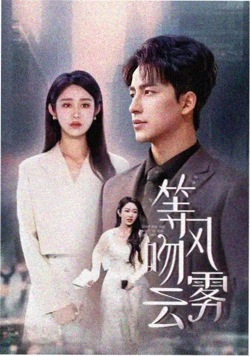 橄榄巷十七号海报